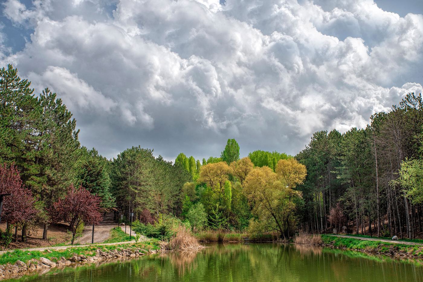 Beytepe Campus, lake and forest